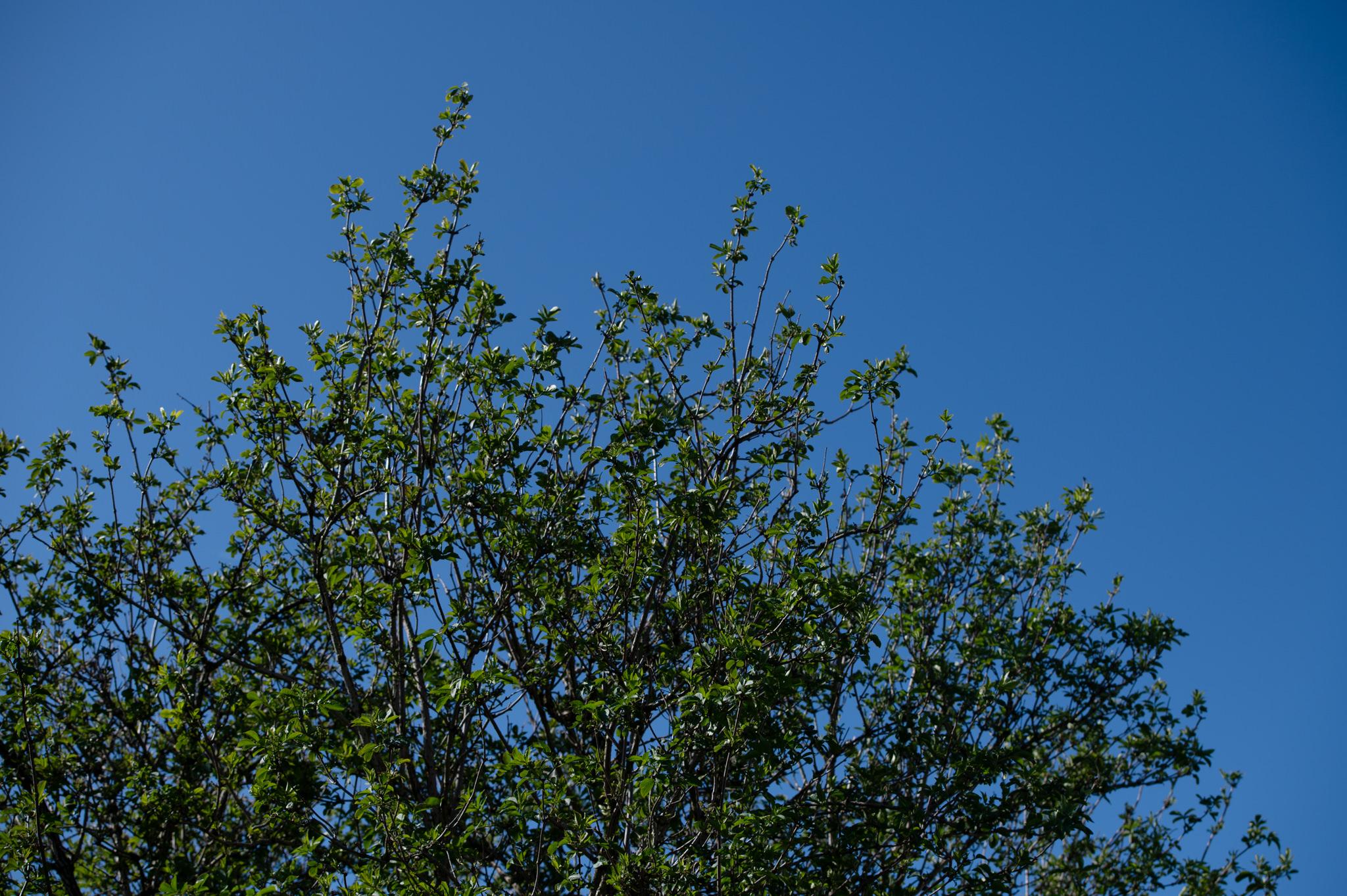 HHA-buildings-gardens-2025-090-small