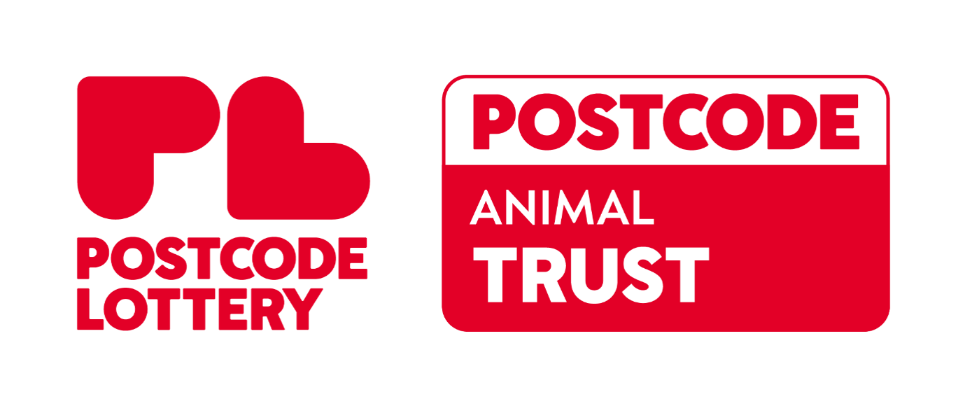 postcode animal